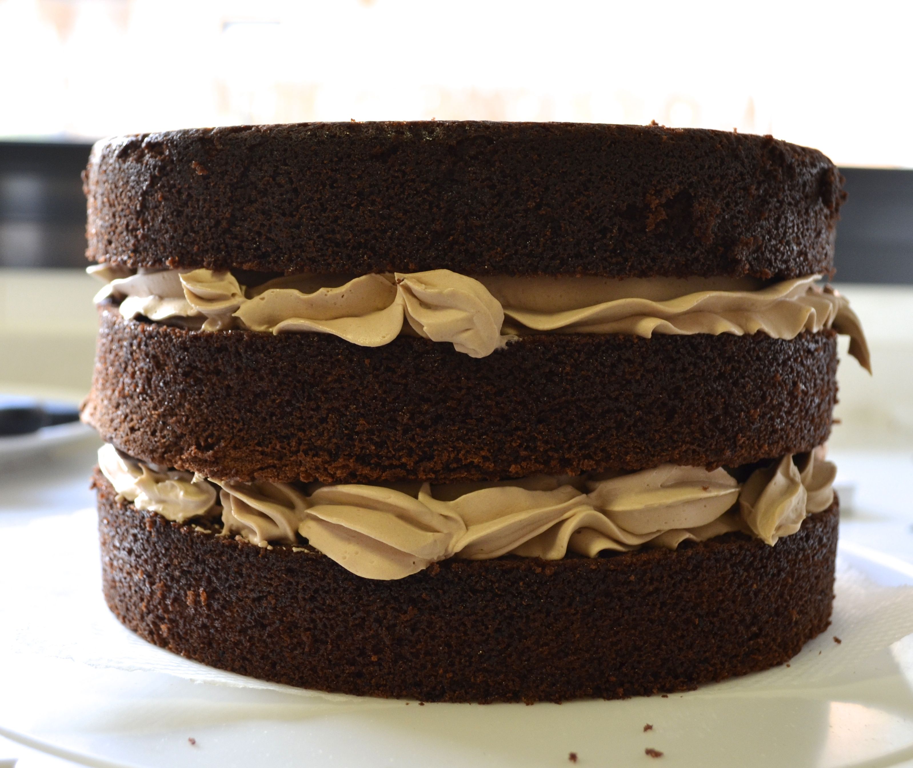 Chocolate cake layers